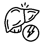 Liver & Gallbladder Support